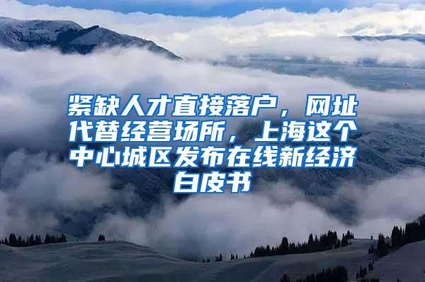 紧缺人才直接落户，网址代替经营场所，上海这个中心城区发布在线新经济白皮书