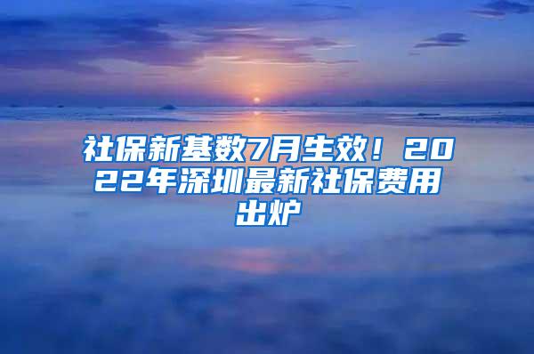社保新基数7月生效！2022年深圳最新社保费用出炉