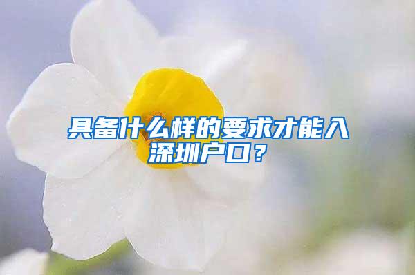 具备什么样的要求才能入深圳户口？