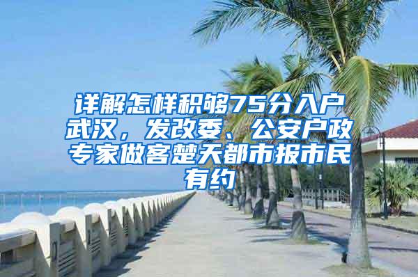 详解怎样积够75分入户武汉，发改委、公安户政专家做客楚天都市报市民有约