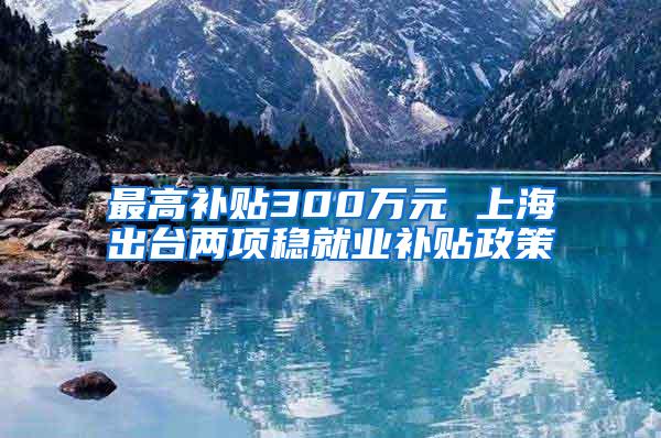 最高补贴300万元 上海出台两项稳就业补贴政策