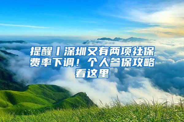 提醒丨深圳又有两项社保费率下调！个人参保攻略看这里