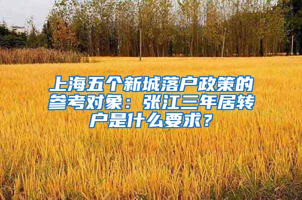 上海五个新城落户政策的参考对象：张江三年居转户是什么要求？