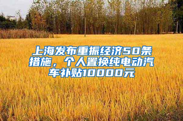 上海发布重振经济50条措施，个人置换纯电动汽车补贴10000元