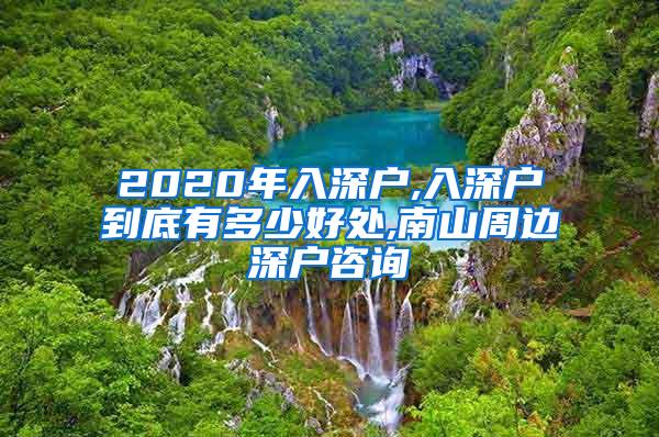 2020年入深户,入深户到底有多少好处,南山周边深户咨询