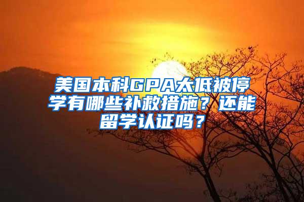 美国本科GPA太低被停学有哪些补救措施？还能留学认证吗？