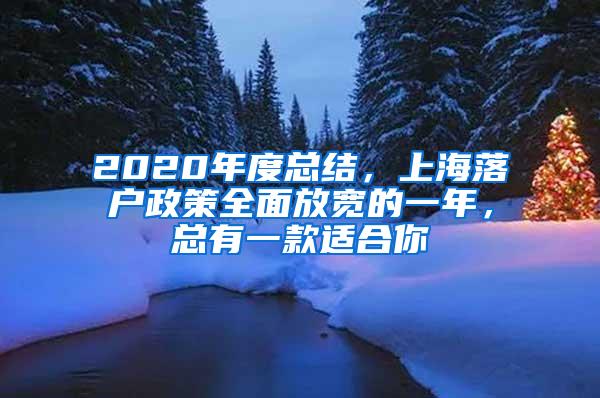 2020年度总结，上海落户政策全面放宽的一年，总有一款适合你