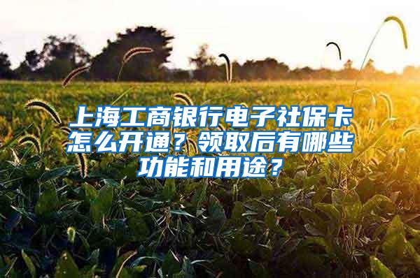 上海工商银行电子社保卡怎么开通？领取后有哪些功能和用途？