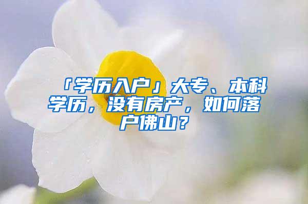 「学历入户」大专、本科学历，没有房产，如何落户佛山？