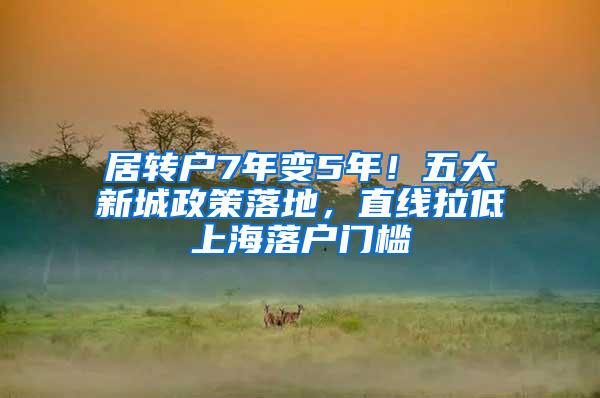 居转户7年变5年！五大新城政策落地，直线拉低上海落户门槛