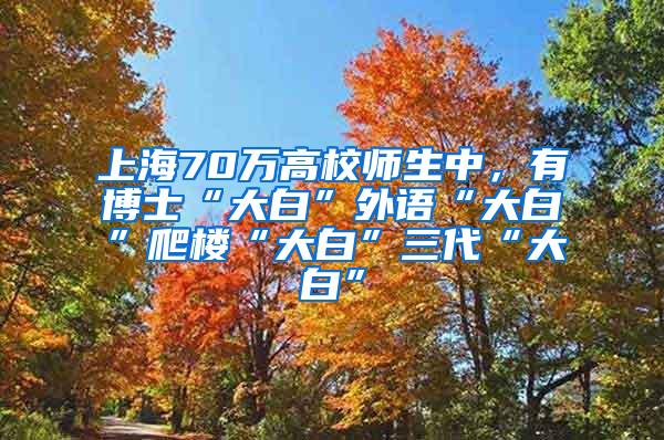 上海70万高校师生中，有博士“大白”外语“大白”爬楼“大白”三代“大白”