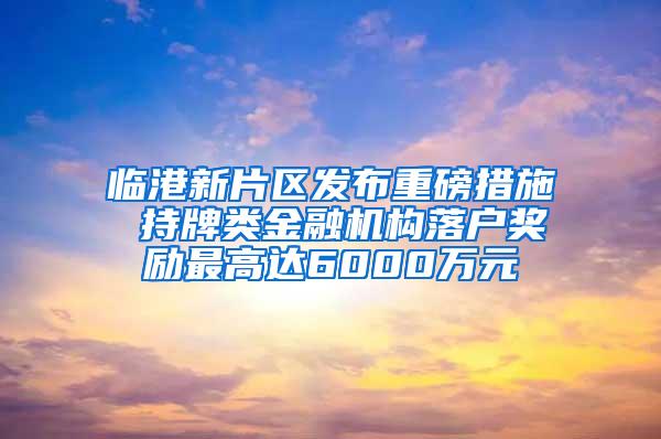 临港新片区发布重磅措施 持牌类金融机构落户奖励最高达6000万元