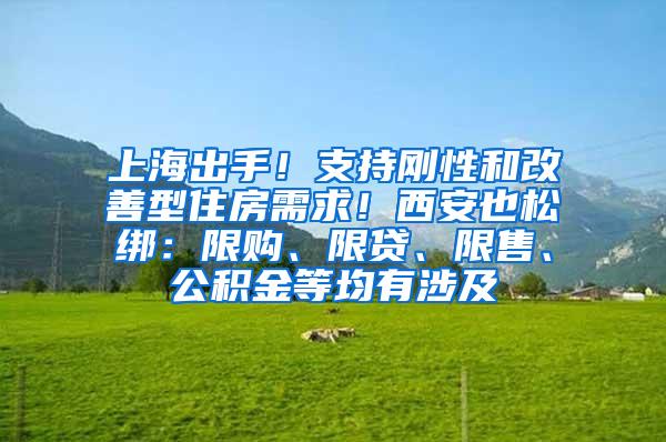 上海出手！支持刚性和改善型住房需求！西安也松绑：限购、限贷、限售、公积金等均有涉及