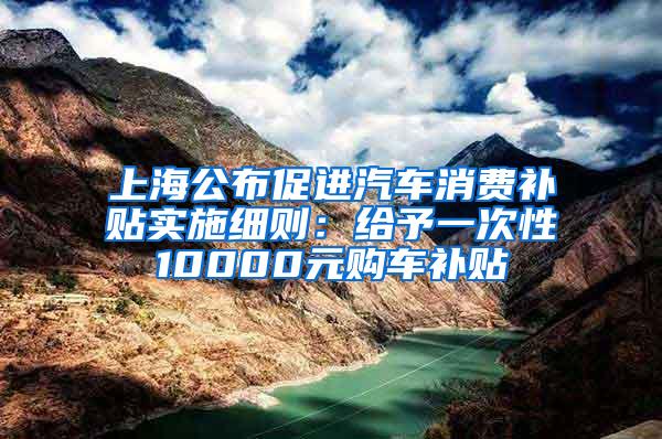 上海公布促进汽车消费补贴实施细则：给予一次性10000元购车补贴