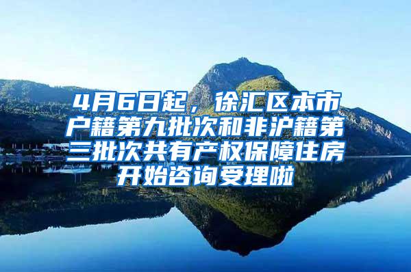 4月6日起，徐汇区本市户籍第九批次和非沪籍第三批次共有产权保障住房开始咨询受理啦