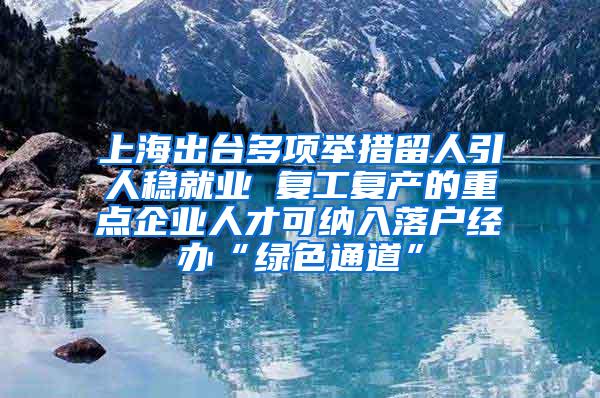 上海出台多项举措留人引人稳就业 复工复产的重点企业人才可纳入落户经办“绿色通道”