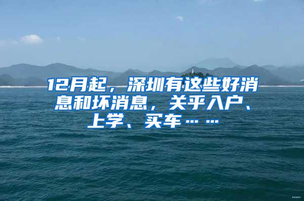 12月起，深圳有这些好消息和坏消息，关乎入户、上学、买车……