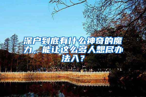 深户到底有什么神奇的魔力，能让这么多人想尽办法入？