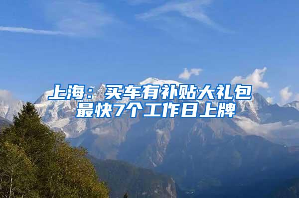 上海：买车有补贴大礼包 最快7个工作日上牌