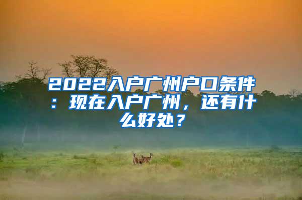 2022入户广州户口条件：现在入户广州，还有什么好处？