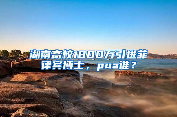 湖南高校1800万引进菲律宾博士，pua谁？