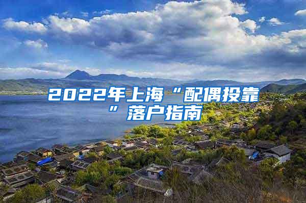 2022年上海“配偶投靠”落户指南