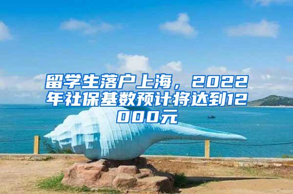 留学生落户上海，2022年社保基数预计将达到12000元