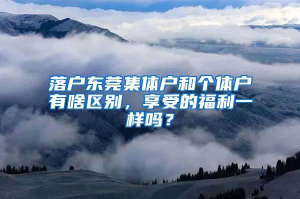 落户东莞集体户和个体户有啥区别，享受的福利一样吗？