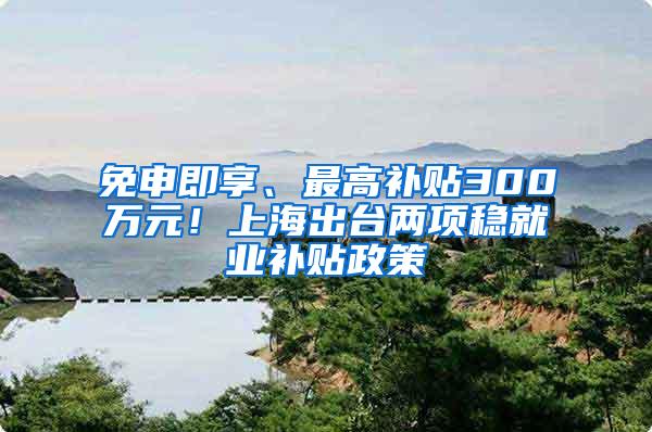 免申即享、最高补贴300万元！上海出台两项稳就业补贴政策