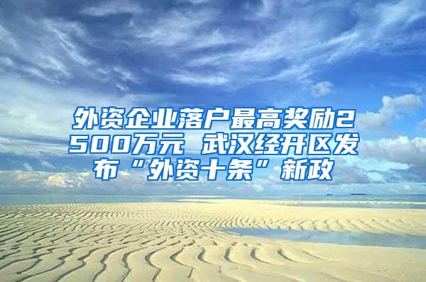 外资企业落户最高奖励2500万元 武汉经开区发布“外资十条”新政