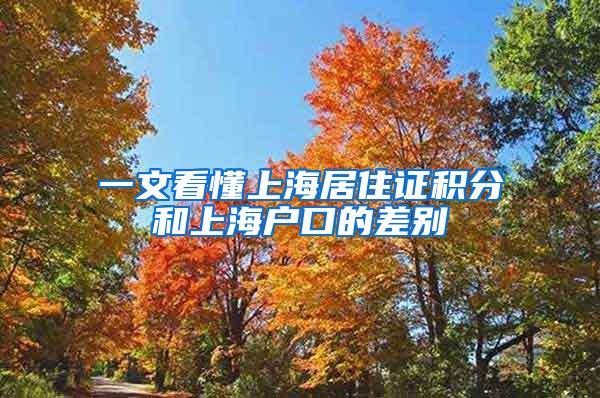 一文看懂上海居住证积分和上海户口的差别