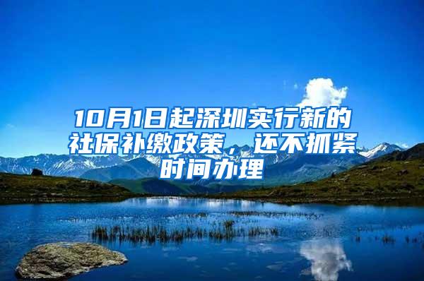 10月1日起深圳实行新的社保补缴政策，还不抓紧时间办理