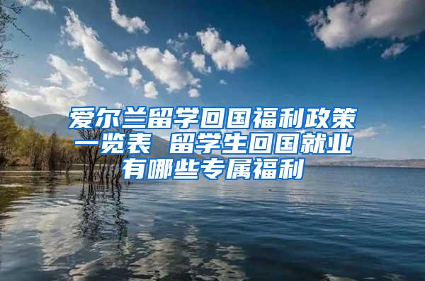 爱尔兰留学回国福利政策一览表 留学生回国就业有哪些专属福利