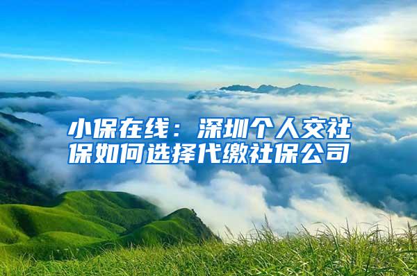 小保在线：深圳个人交社保如何选择代缴社保公司