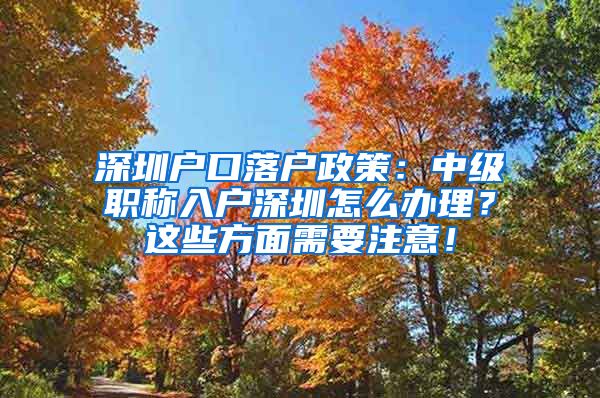 深圳户口落户政策：中级职称入户深圳怎么办理？这些方面需要注意！