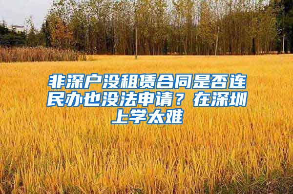 非深户没租赁合同是否连民办也没法申请？在深圳上学太难