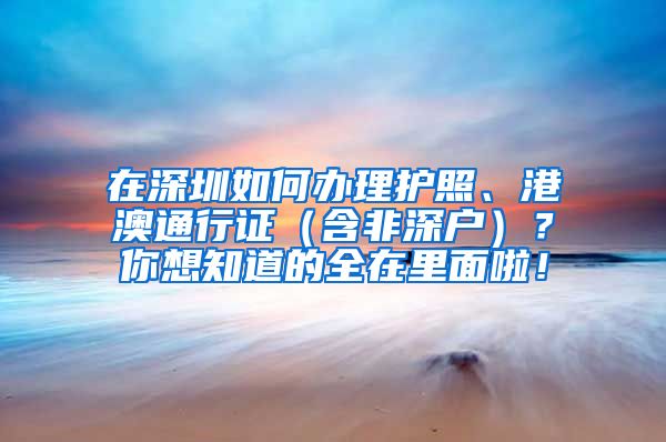 在深圳如何办理护照、港澳通行证（含非深户）？你想知道的全在里面啦！