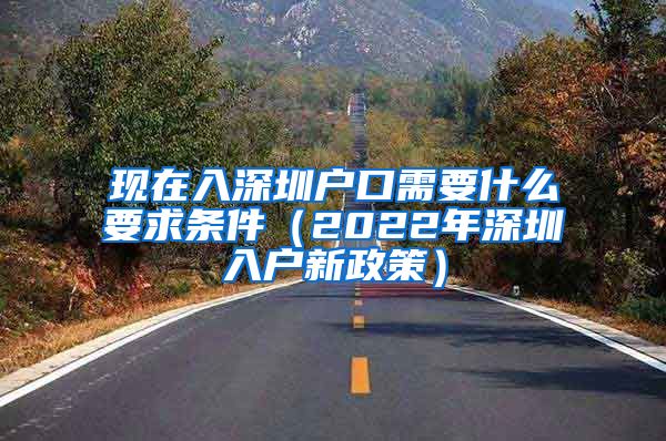 现在入深圳户口需要什么要求条件（2022年深圳入户新政策）