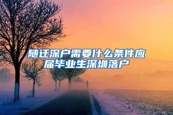 随迁深户需要什么条件应届毕业生深圳落户