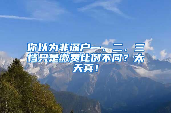 你以为非深户一、二、三档只是缴费比例不同？太天真！