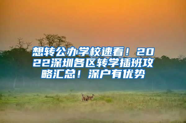 想转公办学校速看！2022深圳各区转学插班攻略汇总！深户有优势