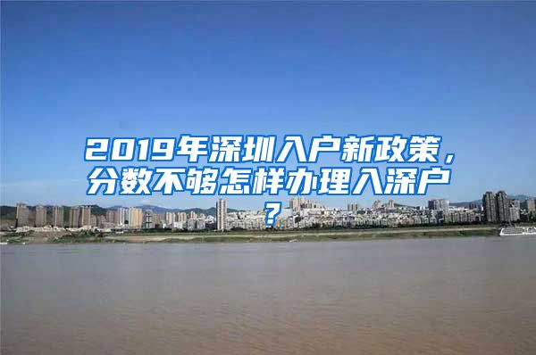 2019年深圳入户新政策，分数不够怎样办理入深户？