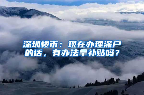 深圳楼市：现在办理深户的话，有办法拿补贴吗？