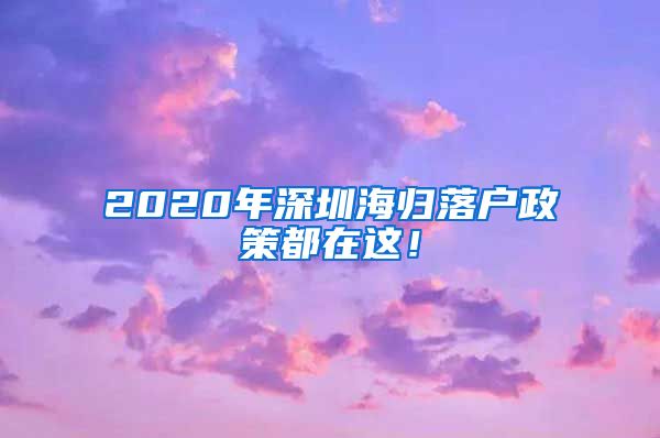 2020年深圳海归落户政策都在这！