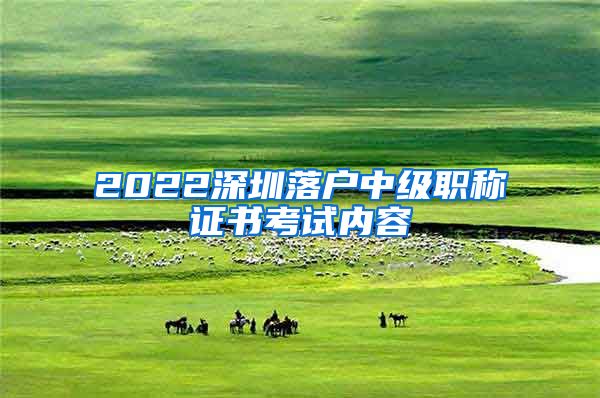 2022深圳落户中级职称证书考试内容