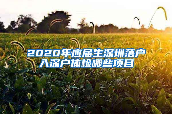 2020年应届生深圳落户入深户体检哪些项目