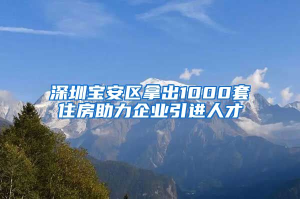 深圳宝安区拿出1000套住房助力企业引进人才