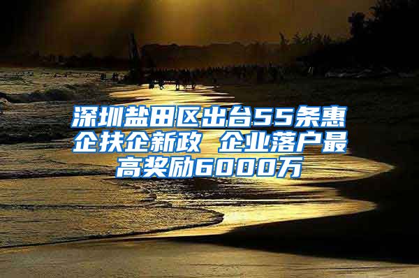 深圳盐田区出台55条惠企扶企新政 企业落户最高奖励6000万