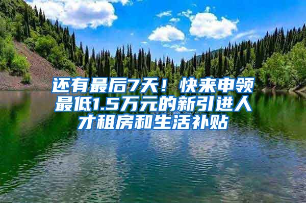 还有最后7天！快来申领最低1.5万元的新引进人才租房和生活补贴