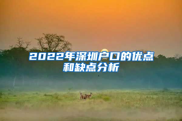 2022年深圳户口的优点和缺点分析